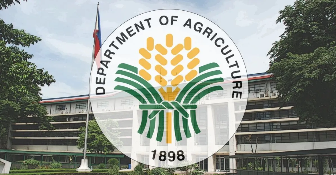 MANILA, Philippines — Bukas ang Department of Agriculture (DA) sa posibilidad ng pagpapatupad ng maximum suggested retail price (SRP) na P380 kada kilo ng baboy, alinsunod sa mungkahi ng mga magsasaka.